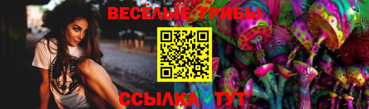 Муравленко  хочу наркоту  Вход с VPN  Галлюциногенные грибы мицелий 